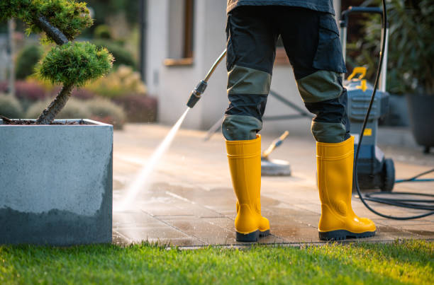 Best Roof Power Washing Services  in Brinckerhoff, NY